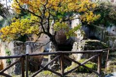 IMG_20190102_120628-11