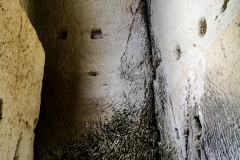 IMG_20190102_121753-25-1