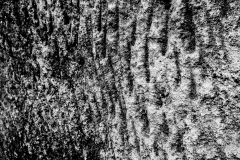IMG_20190102_122349-28