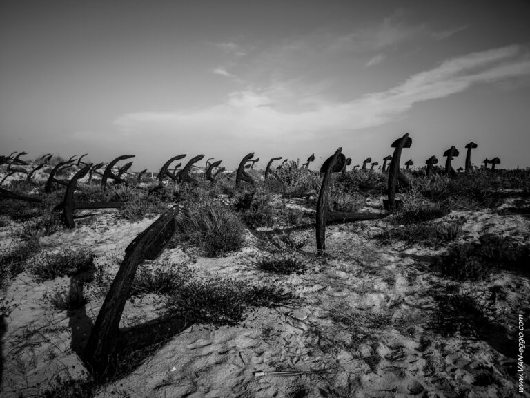 Cimitero ancore Barril Beach - VAN-eggio